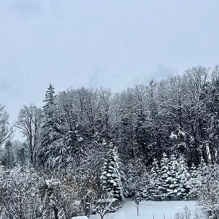 Gaestezimmer * Traisen