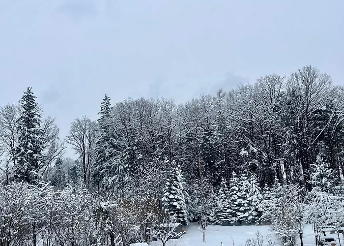 Gaestezimmer * Traisen